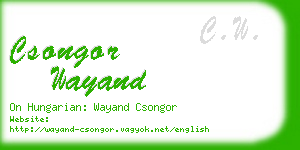 csongor wayand business card